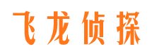 伍家岗侦探公司